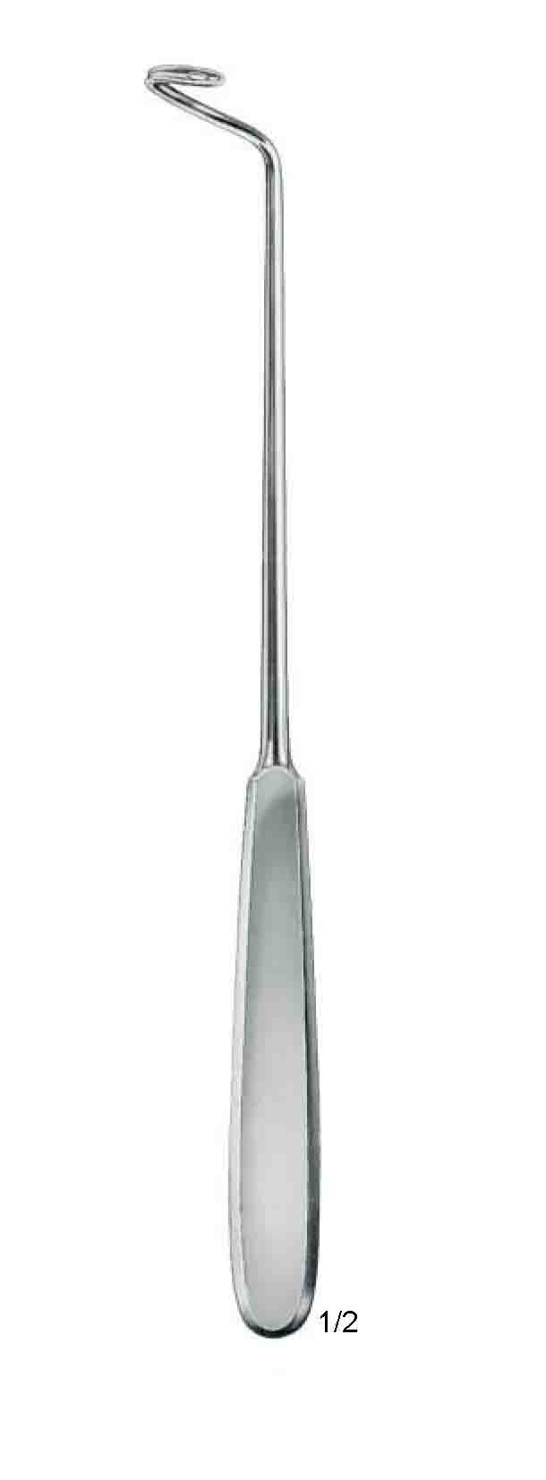 HURD DEŞAM KÜNT 21 CM